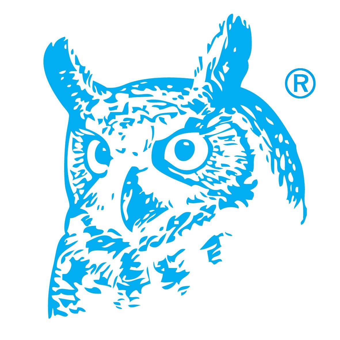 Owl_R